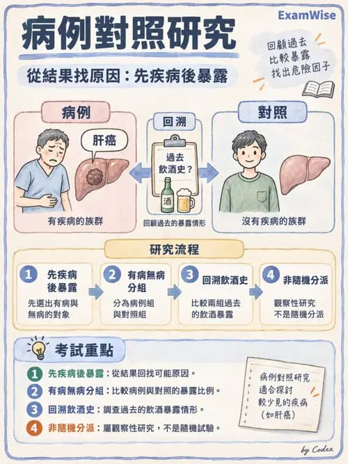 職治 - 實證職能治療 - AI 圖文解析預覽