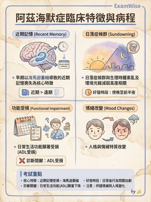 護理師 - 老年精神疾患 - AI 圖文解析預覽