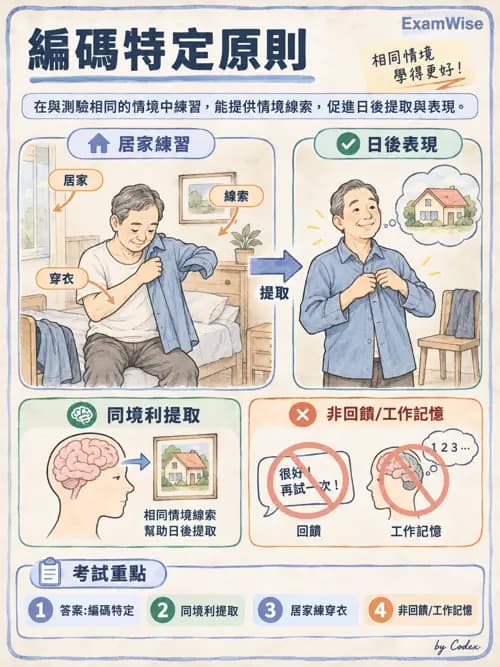 職治 - 實務歷程、活動分析與病歷 - AI 圖文解析預覽