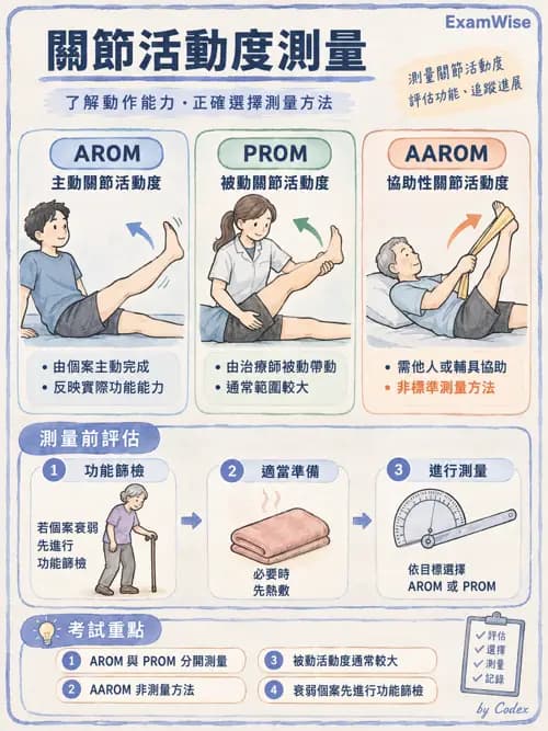 職治 - 動作功能與生物力學 - AI 圖文解析預覽