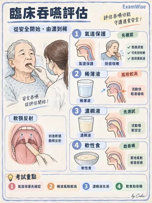 職治 - 日常生活活動、進食與吞嚥 - AI 圖文解析預覽