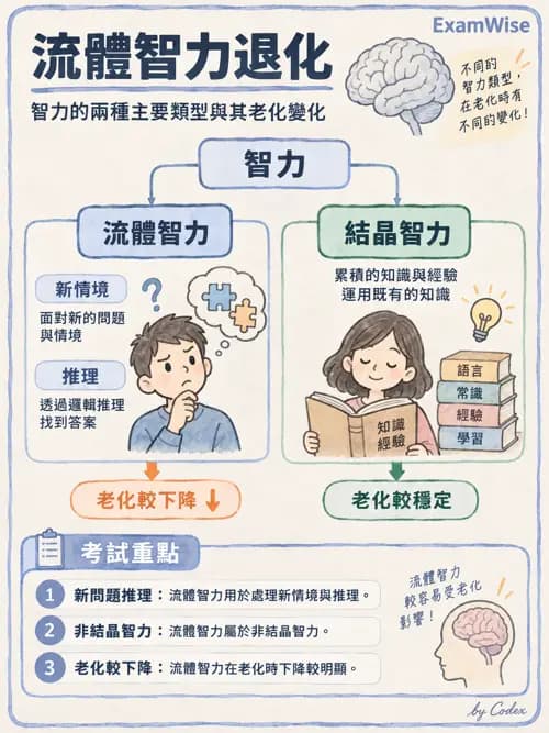 職治 - 健康促進、老化與醫療安全 - AI 圖文解析預覽