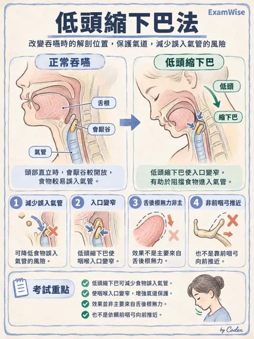 職治 - 日常生活活動、進食與吞嚥 - AI 圖文解析預覽