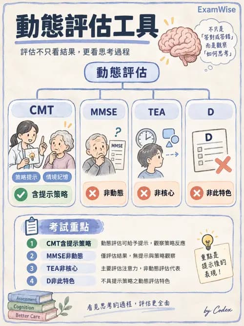 職治 - 認知評估與介入 - AI 圖文解析預覽