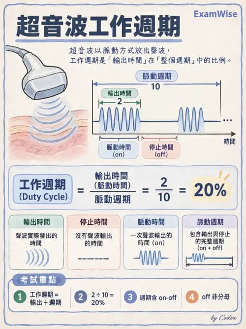 職治 - 疼痛、水腫與物理因子 - AI 圖文解析預覽