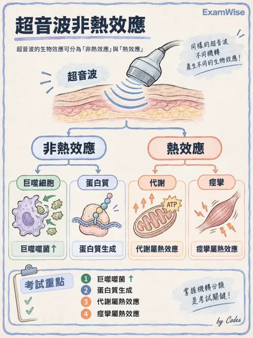職治 - 疼痛、水腫與物理因子 - AI 圖文解析預覽