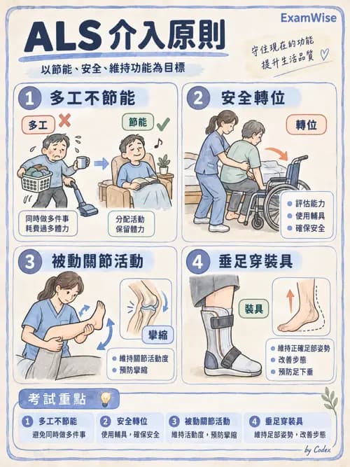 職治 - 神經退化與神經肌肉疾病 - AI 圖文解析預覽