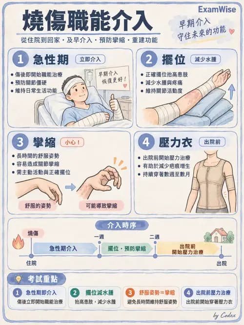 職治 - 心肺疾病、燒燙傷與癌症 - AI 圖文解析預覽