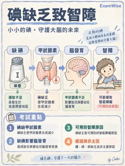 職治 - 兒童青少年心理衛生 - AI 圖文解析預覽