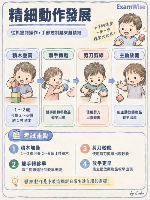 職治 - 動作發展與手功能 - AI 圖文解析預覽