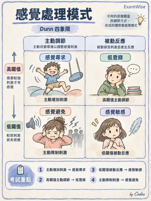 職治 - 感覺統合與感覺處理 - AI 圖文解析預覽