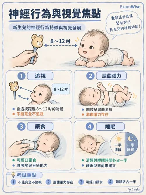 職治 - 醫療與早期療育體系 - AI 圖文解析預覽
