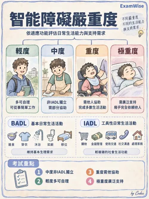 職治 - 發展與精神行為診斷 - AI 圖文解析預覽