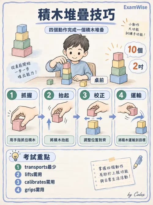 職治 - OTPF實務架構與ICF - AI 圖文解析預覽