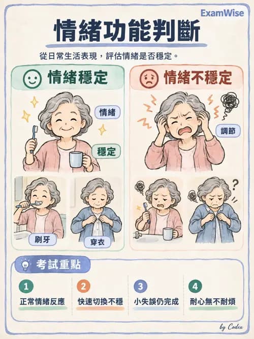 職治 - OTPF實務架構與ICF - AI 圖文解析預覽