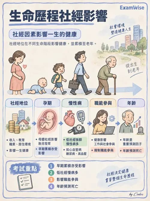 職治 - 健康促進與方案管理 - AI 圖文解析預覽