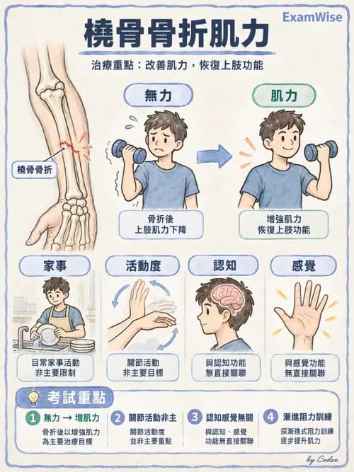 職治 - 活動分級與調適 - AI 圖文解析預覽