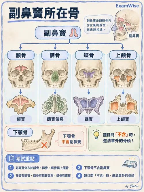 職治 - 頭頸與軀幹肌肉骨骼 - AI 圖文解析預覽