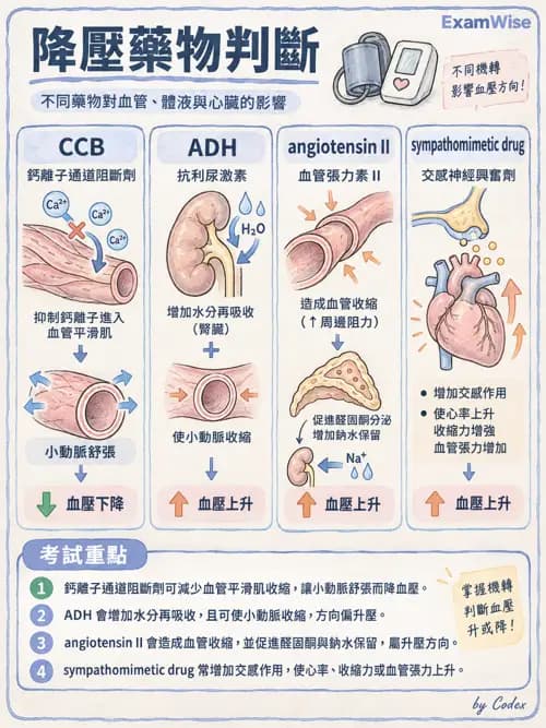 職治 - 心血管、血液與免疫生理 - AI 圖文解析預覽