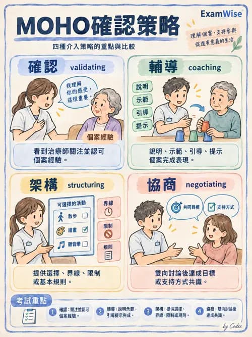 職治 - 以職能為基礎的理論模式 - AI 圖文解析預覽