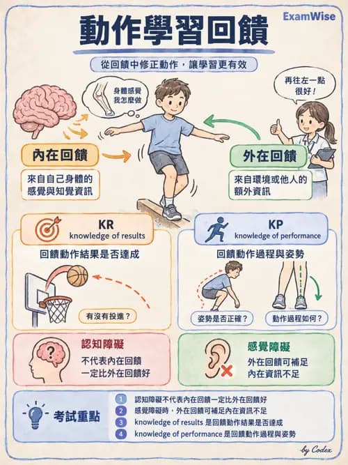 職治 - 參考架構與應用理論 - AI 圖文解析預覽