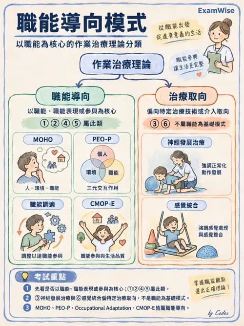 職治 - 以職能為基礎的理論模式 - AI 圖文解析預覽