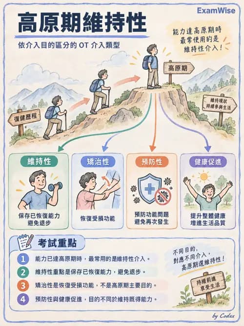 職治 - 實務架構與介入歷程 - AI 圖文解析預覽