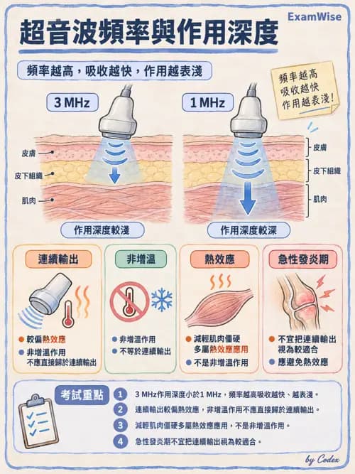 職治 - 疼痛、水腫與物理因子 - AI 圖文解析預覽
