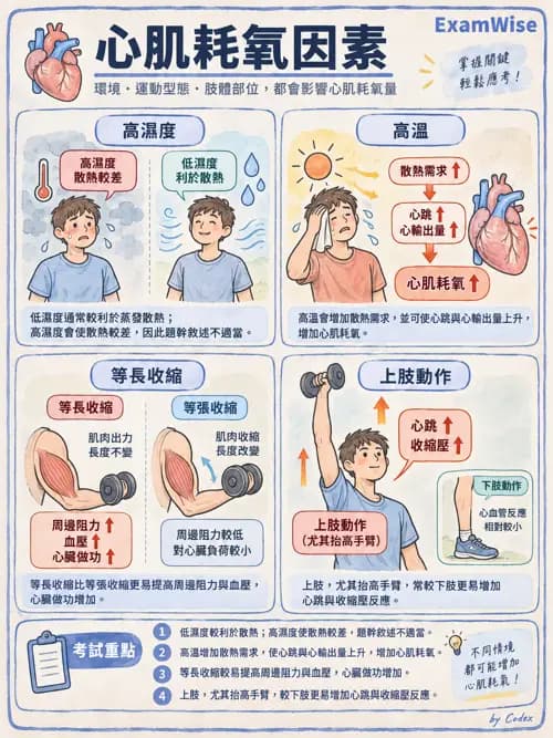 職治 - 心肺疾病、燒燙傷與癌症 - AI 圖文解析預覽
