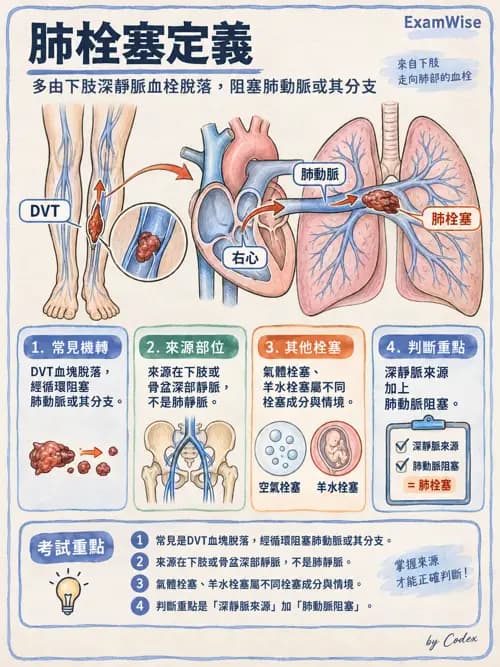 職治 - 心肺疾病、燒燙傷與癌症 - AI 圖文解析預覽