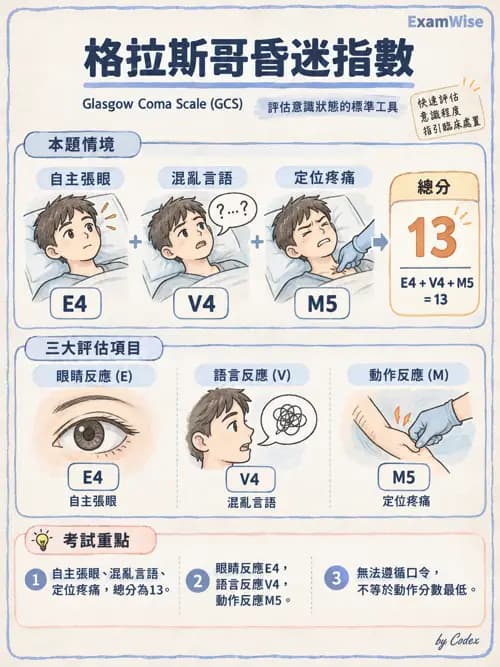 職治 - 腦中風與腦外傷 - AI 圖文解析預覽