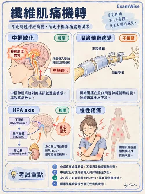 職治 - 骨科與風濕疾病 - AI 圖文解析預覽