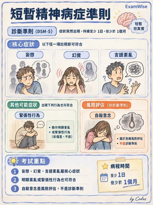 職治 - 思覺失調與情緒障礙 - AI 圖文解析預覽