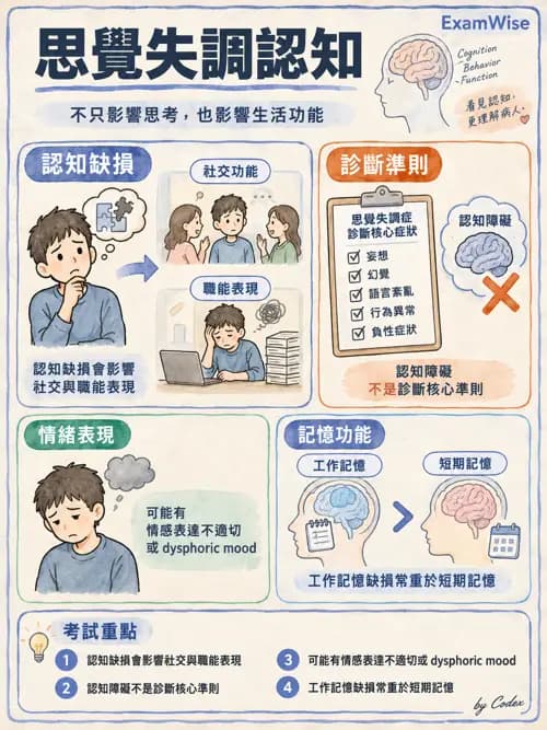 職治 - 認知取向與認知障礙模式 - AI 圖文解析預覽