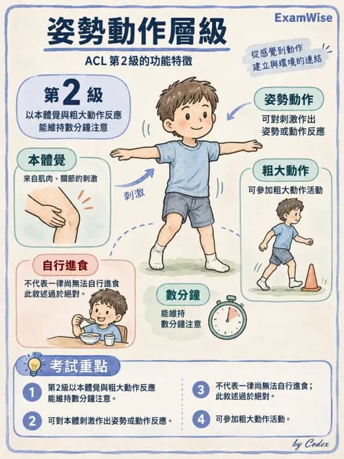 職治 - 認知取向與認知障礙模式 - AI 圖文解析預覽