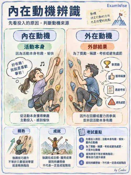 職治 - 以職能為基礎的模式 - AI 圖文解析預覽