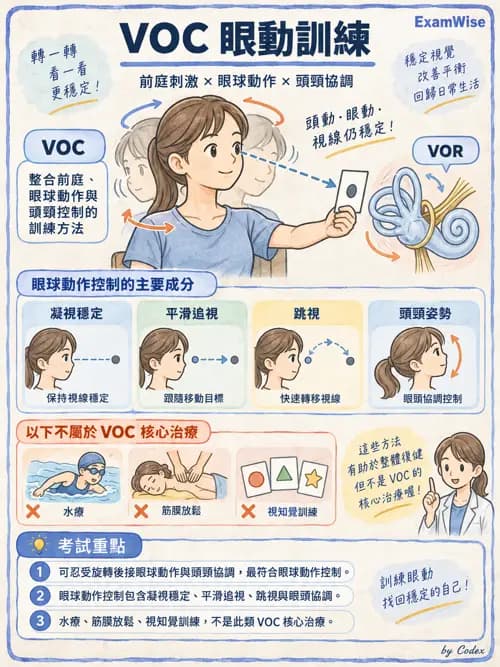 職治 - 感覺統合與感覺處理 - AI 圖文解析預覽