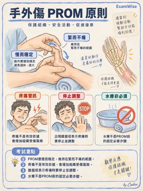 職治 - 肌動學原理與上肢 - AI 圖文解析預覽