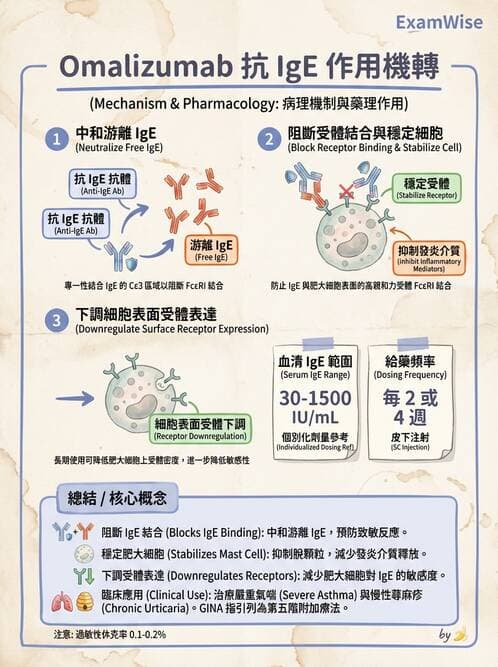 護理師 - 化學治療與免疫調節藥物 - AI 圖文解析預覽