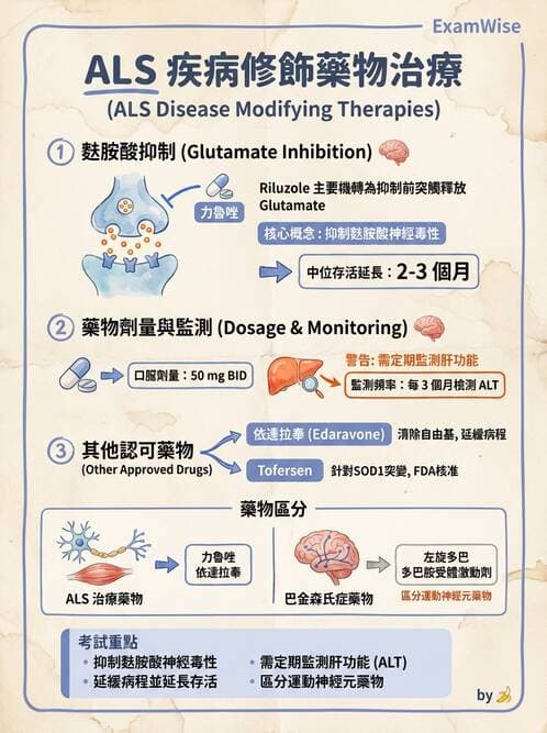 護理師 - 鎮痛、麻醉與神經科藥物 - AI 圖文解析預覽