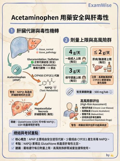 護理師 - 輸血與藥物計算 - AI 圖文解析預覽