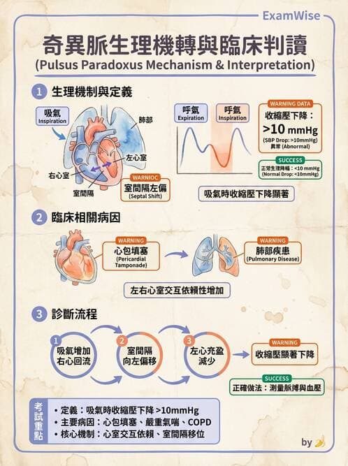 護理師 - 循環評估(脈搏與血壓) - AI 圖文解析預覽