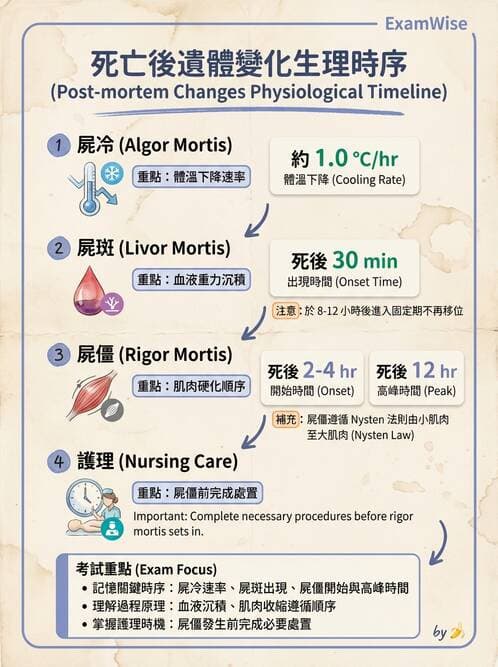 護理師 - 臨終與哀傷護理 - AI 圖文解析預覽