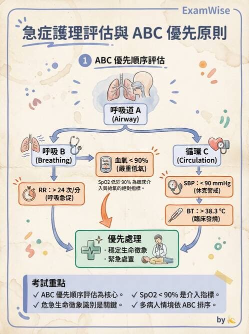 護理師 - 綜合評估與檢體採集 - AI 圖文解析預覽