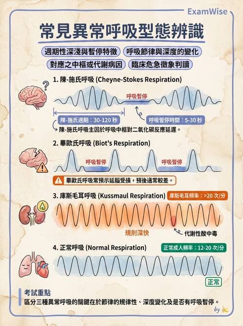 護理師 - 體溫與呼吸評估 - AI 圖文解析預覽