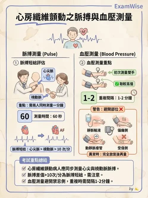 護理師 - 循環評估(脈搏與血壓) - AI 圖文解析預覽