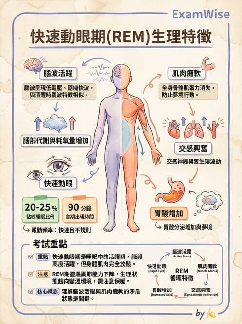 護理師 - 個人衛生與舒適照護 - AI 圖文解析預覽