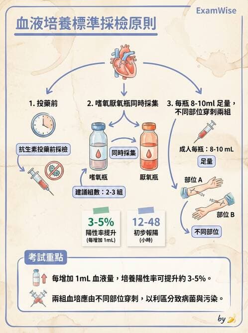 護理師 - 綜合評估與檢體採集 - AI 圖文解析預覽