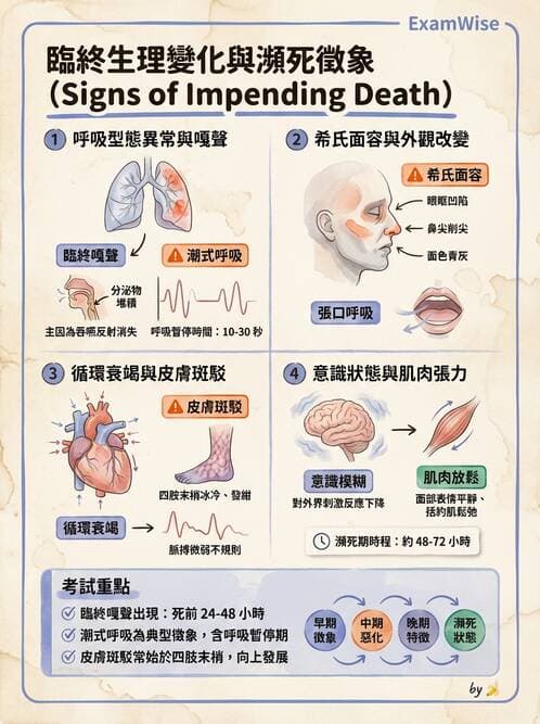 護理師 - 臨終與哀傷護理 - AI 圖文解析預覽