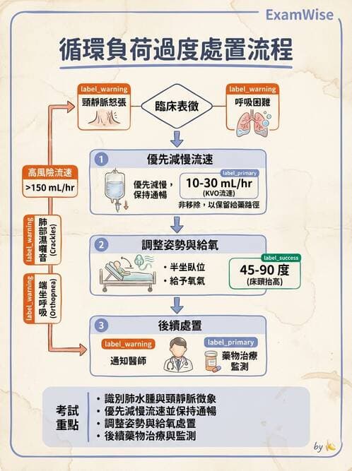 護理師 - 靜脈輸液與電解質平衡 - AI 圖文解析預覽